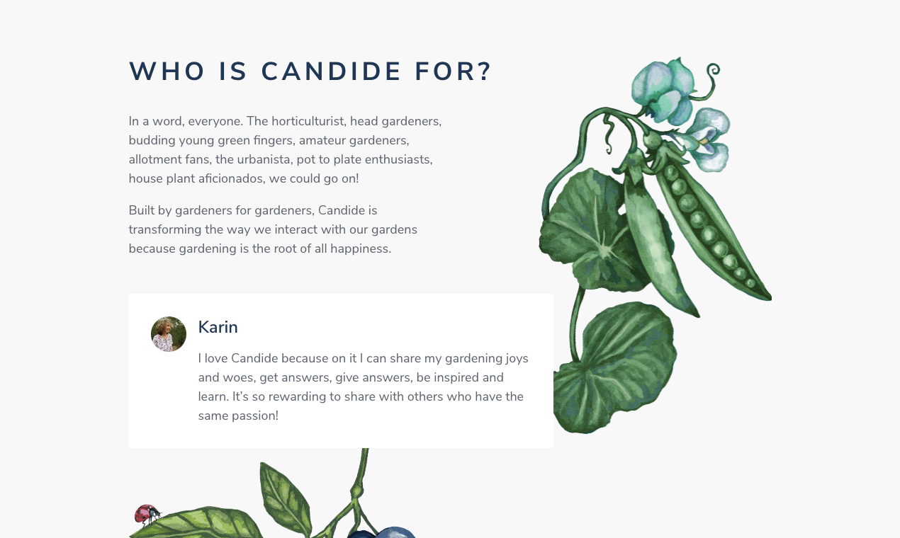 Candide gallery image