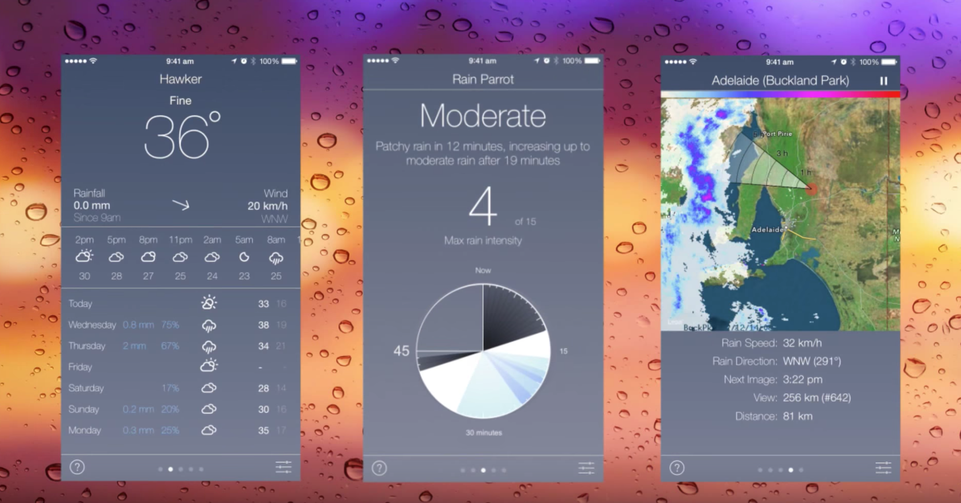 Rain Parrot gallery image