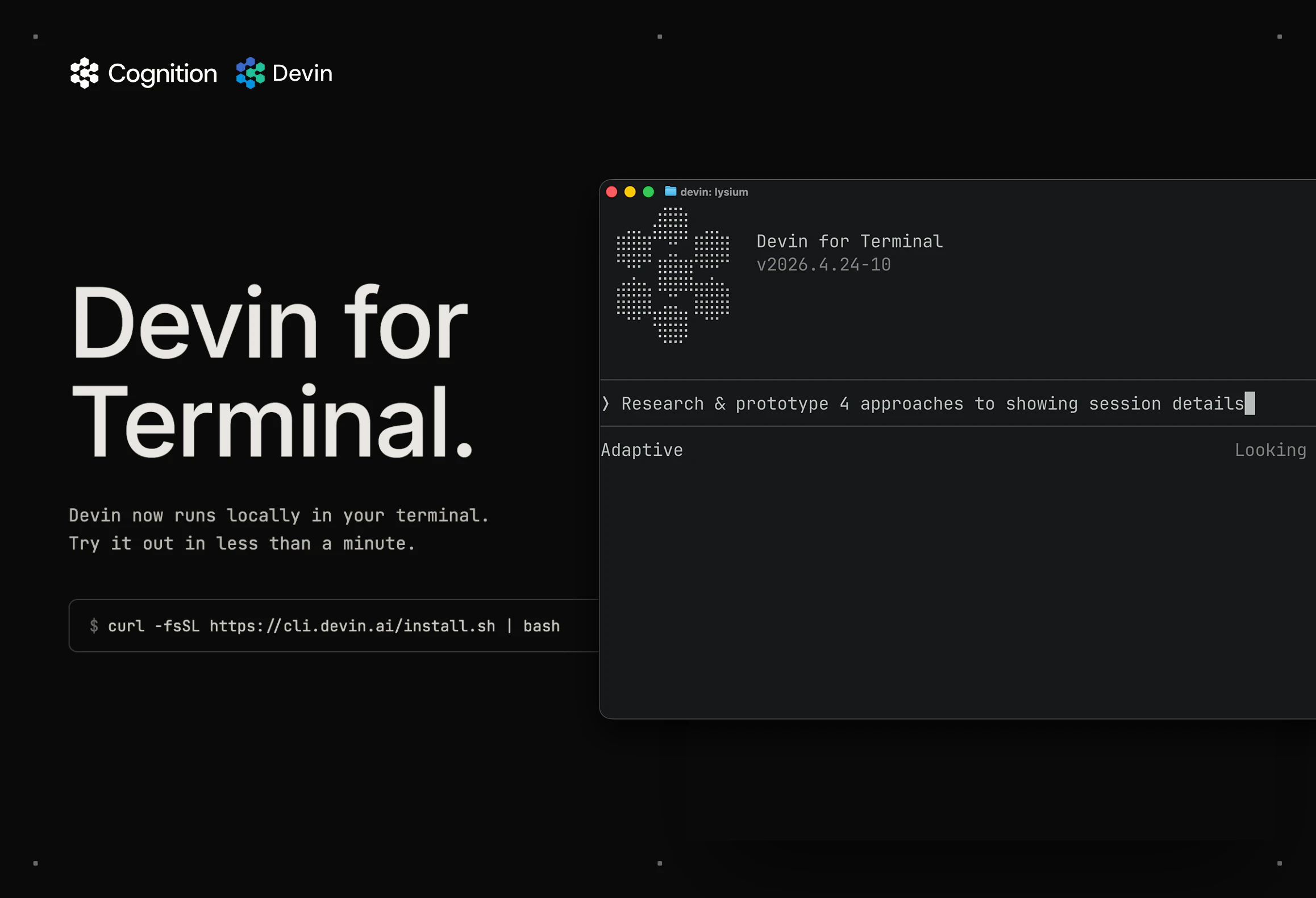 Devin for Terminal screenshot 1