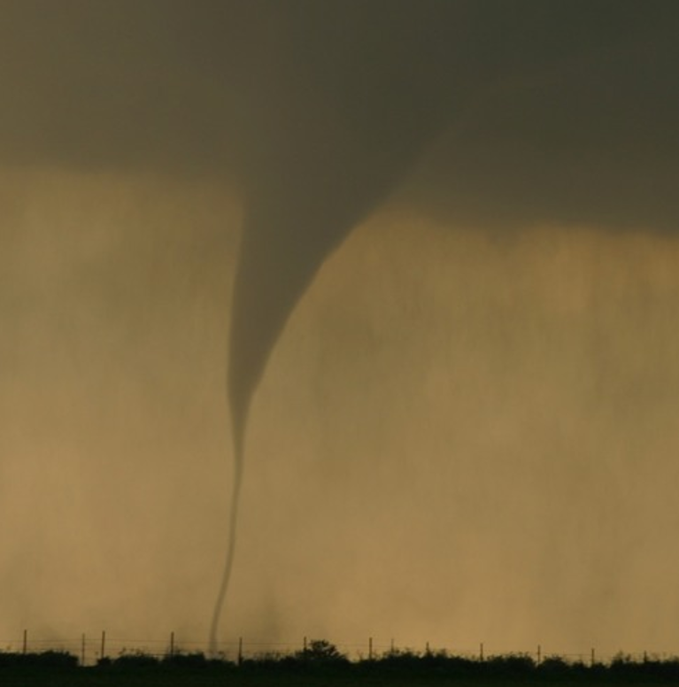 Completely Optional Knowledge - What Do Tornadoes Smell Like? gallery image