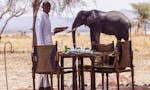 Luxury African Safaris | AROYÓ SAFARI image