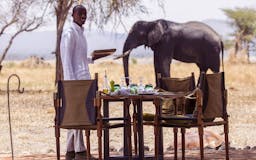 Luxury African Safaris | AROYÓ SAFARI media 2