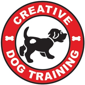 Creative Dog Training Online Podcast - Holidays and Your Dog