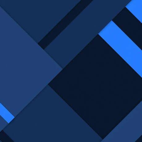 BMSVieira cover