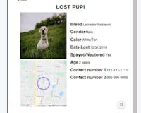 My Lost Pet Flyer media 3