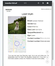 My Lost Pet Flyer gallery image