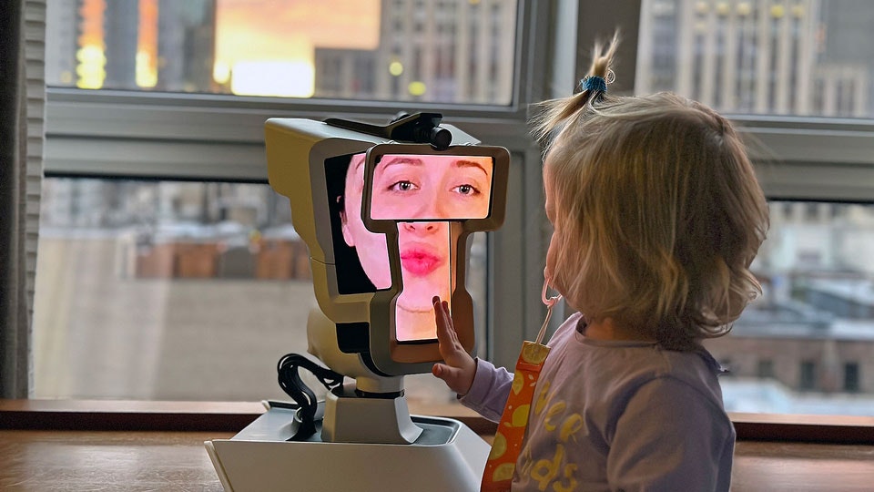 Média Wehead 4