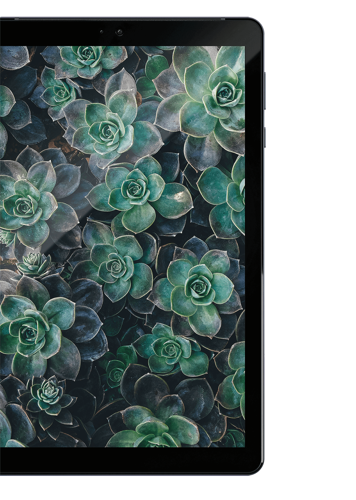 Lume Pad gallery image