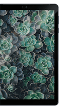 Lume Pad gallery image