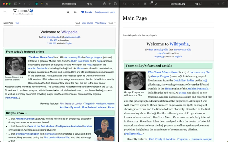 My Styles — Custom CSS Safari Extension screenshot 2