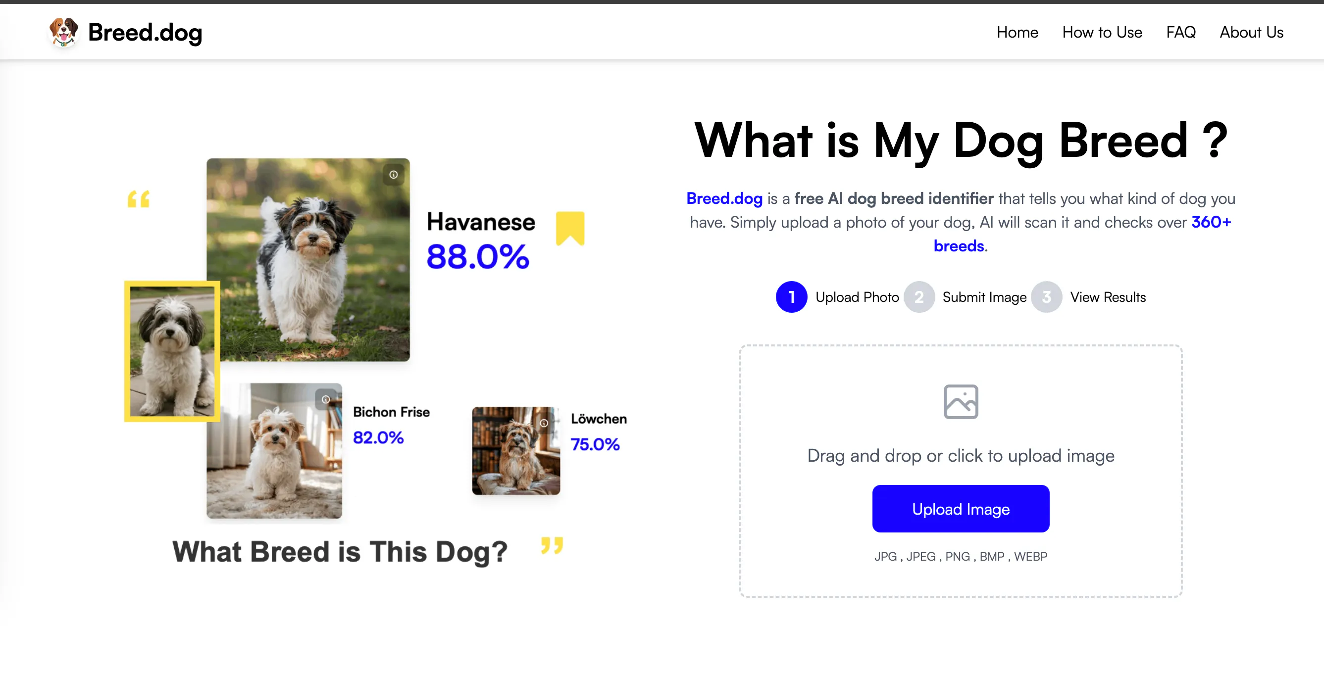 Breed.dog - AI Dog Breed Identifier gallery image