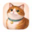 Chonky Cat