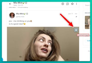 Onlyfans Downloader gallery image