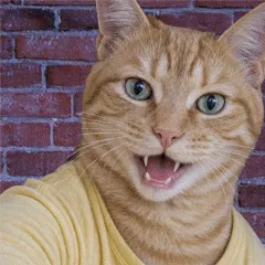 CAT ME app logo