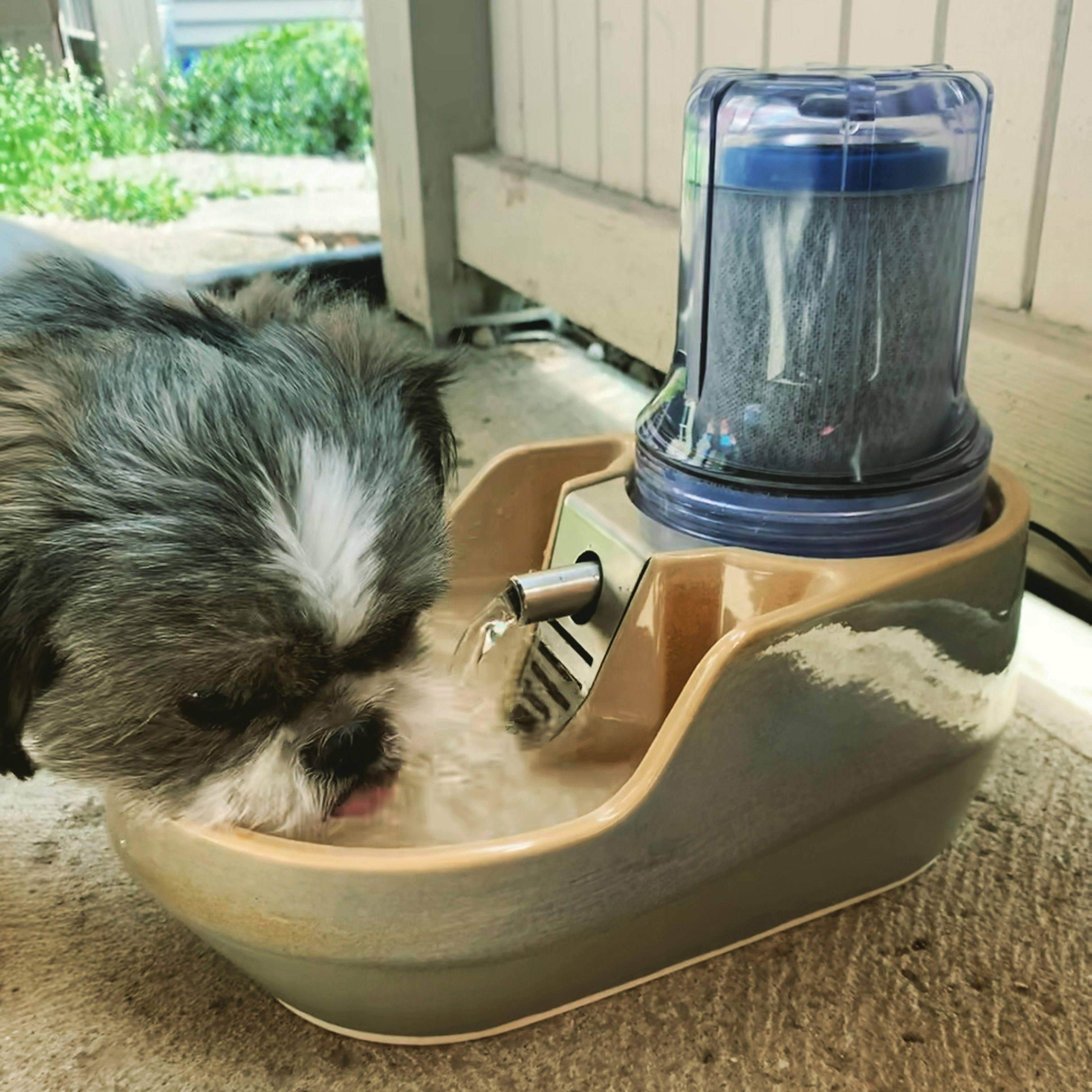 LaikaBowls - Cat and Dog Fountains gallery image