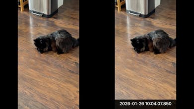 Timestamp adder videos gallery image