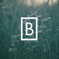 BlankPage