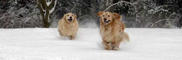 Cynthia Schames cover