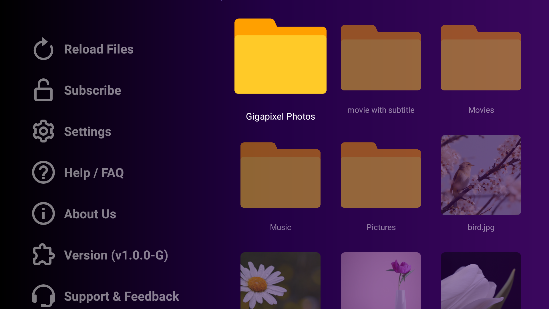 USB Gallery - Main screenshot showing features and interface