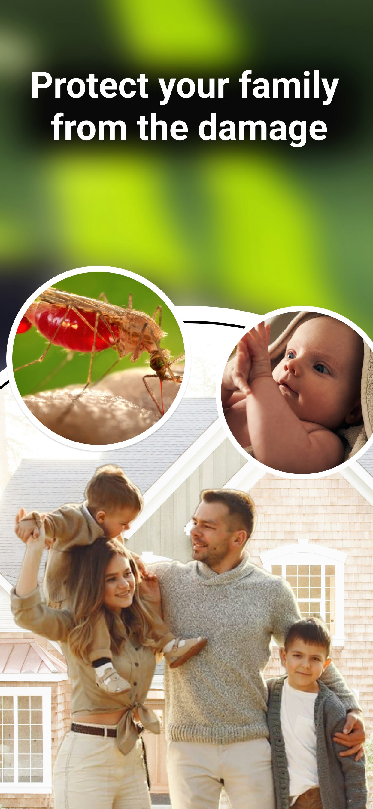 Bug Identifier : Insect ID gallery image