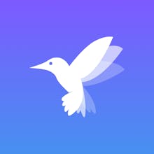 Flitter gallery image