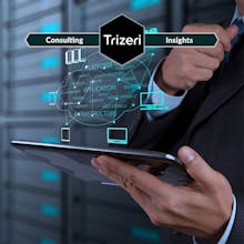 Trizeri gallery image