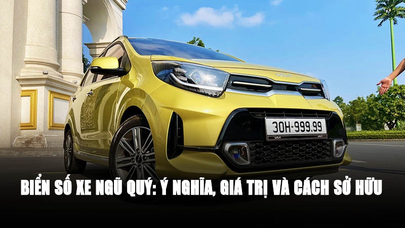 Sàn biển số đẹp gallery image