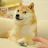 The Doge NFT