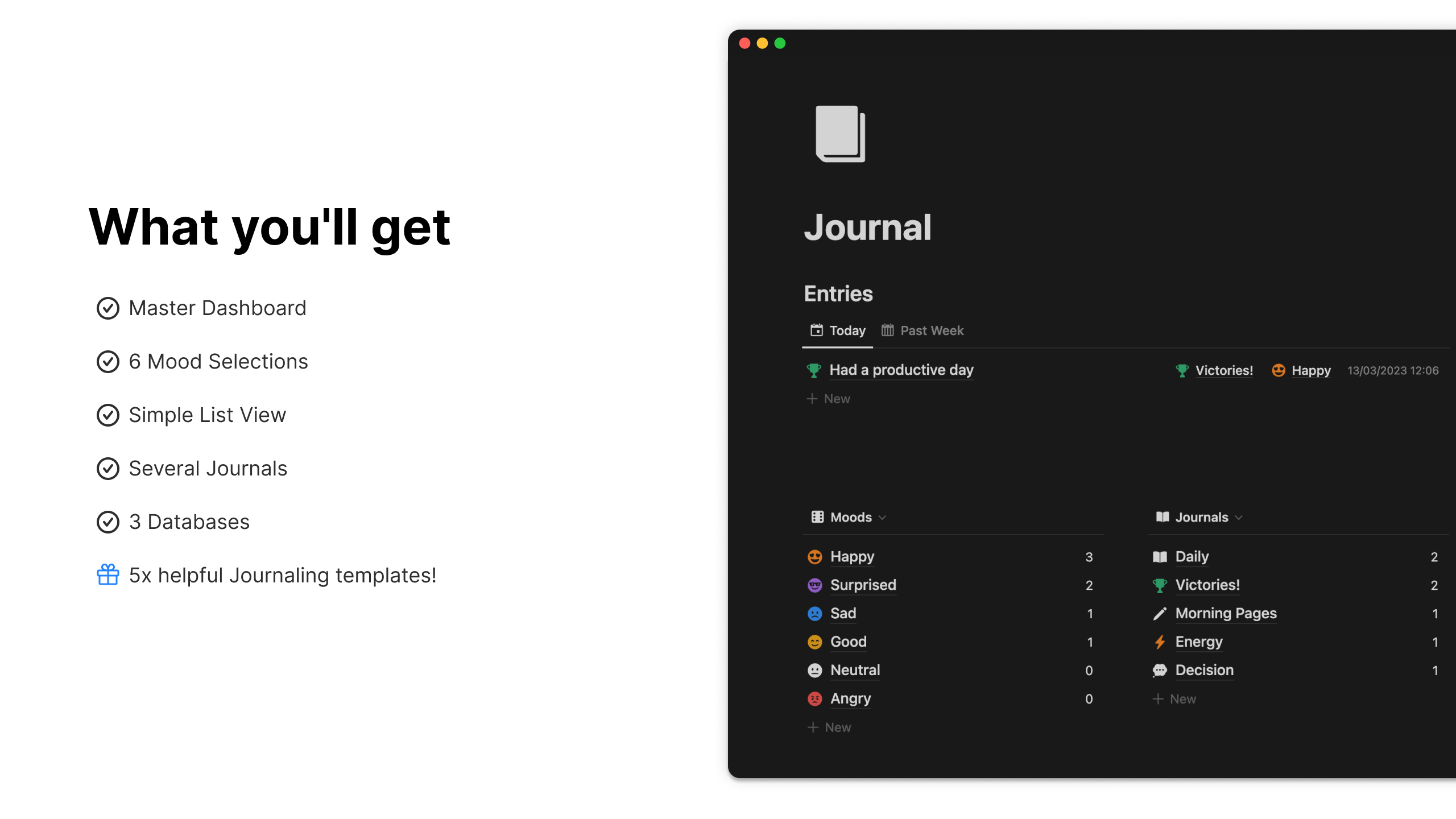Notion Journal media 2