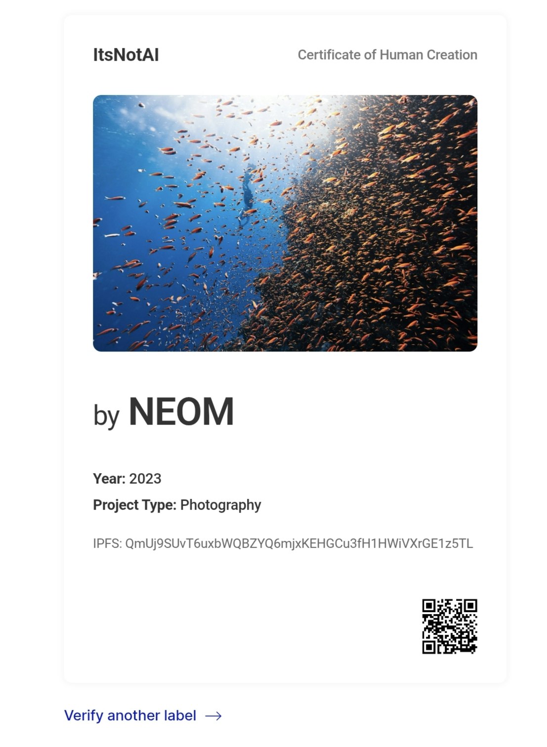ItsNotAI - Main product screenshot demonstrating key features and user interface