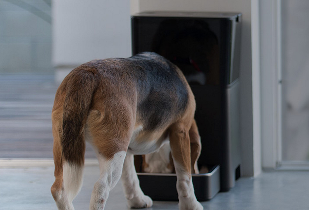 Petnet gallery image