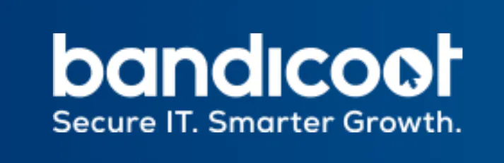 Bandicoot IT 제품 배너