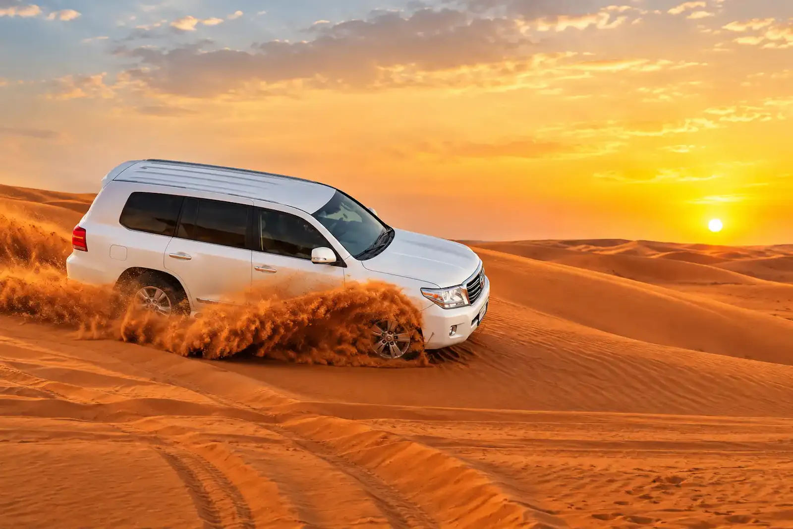 Dubai Dune Safaris screenshot 1
