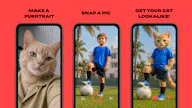 CAT ME app