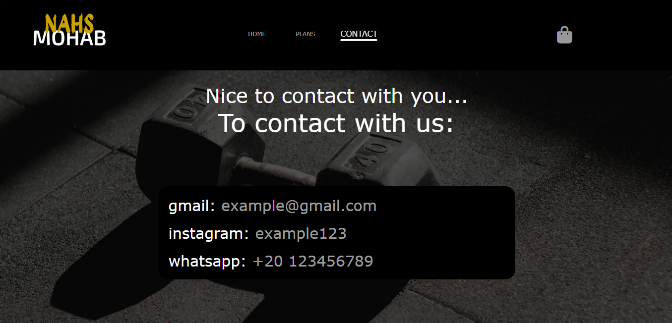Gym – HTML/CSS Template - Screenshot 3 showing product features and functionality