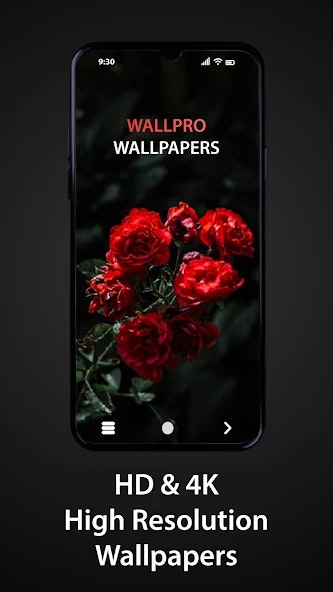 Live Wallpapers | 4K Wallpaper media 2