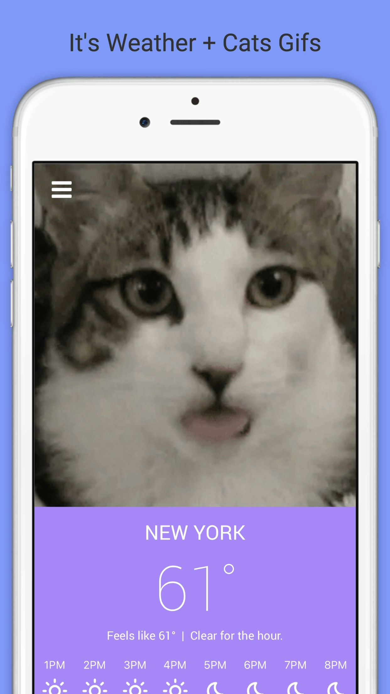 Meowzr gallery image