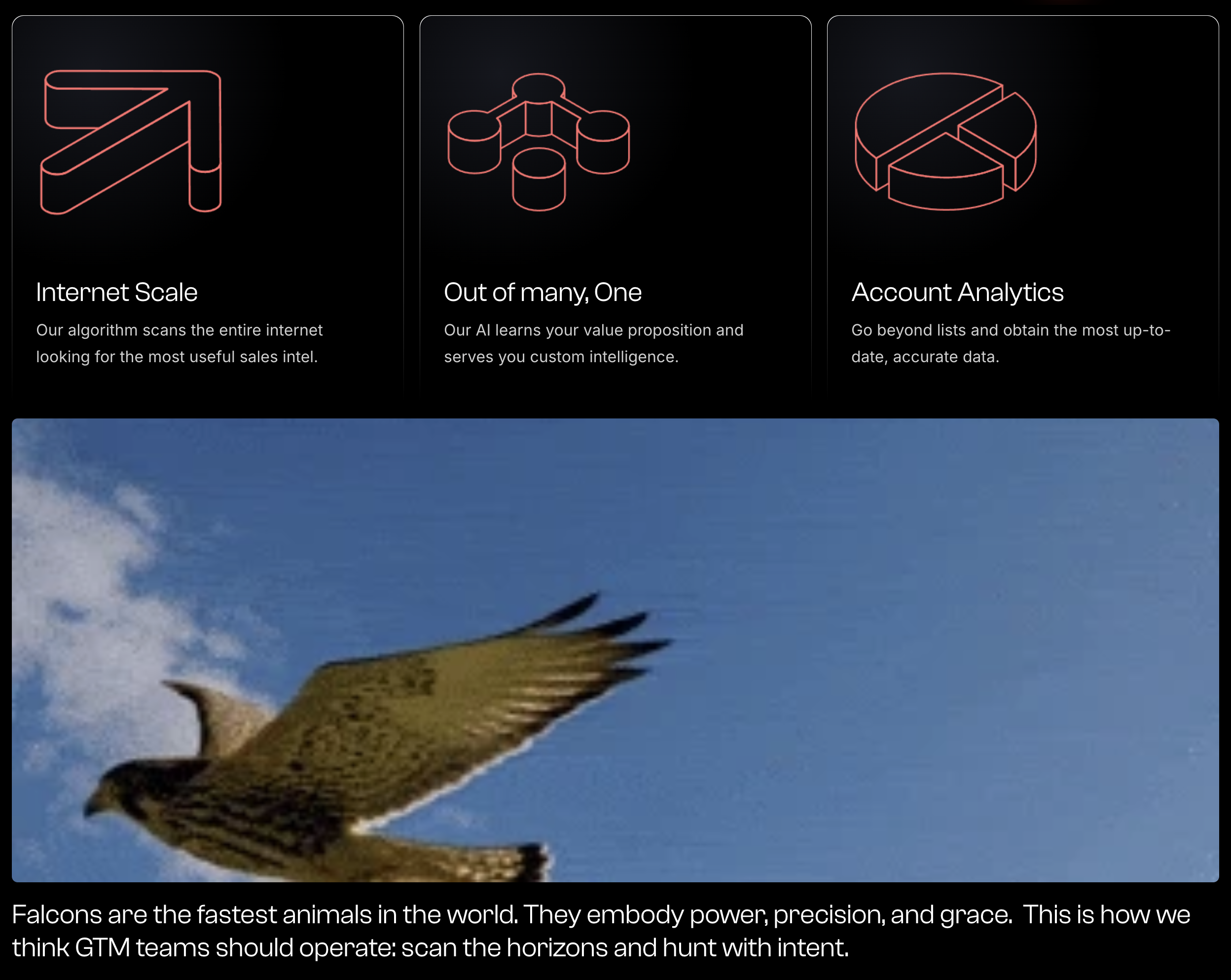 Falcon gallery image