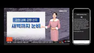 LinguaLive