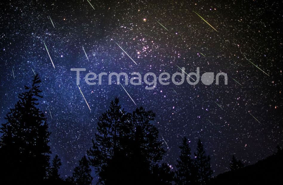 Termageddon gallery image