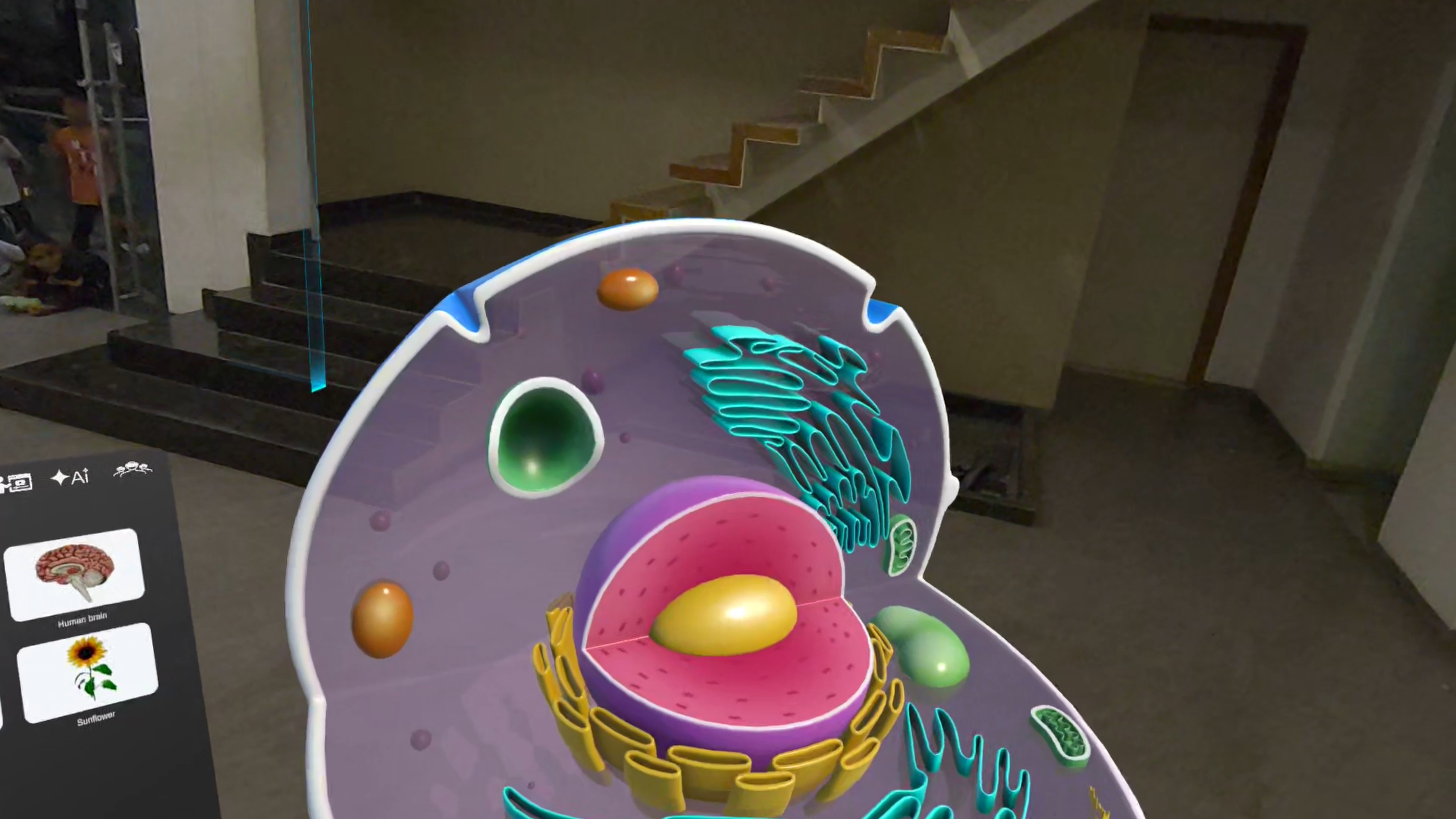 DesignXR gallery image