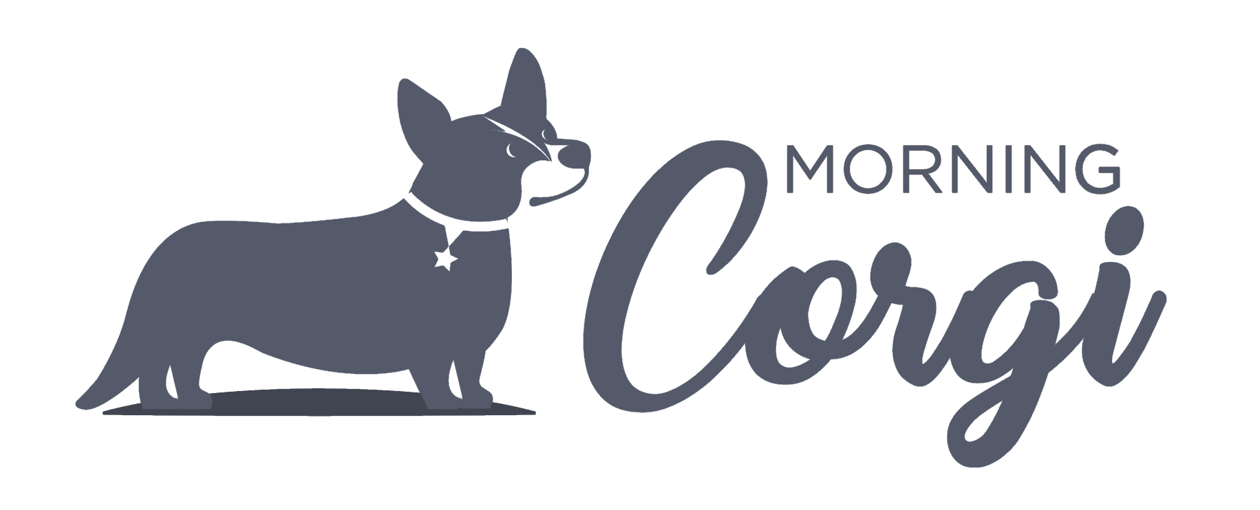 Morning Corgi