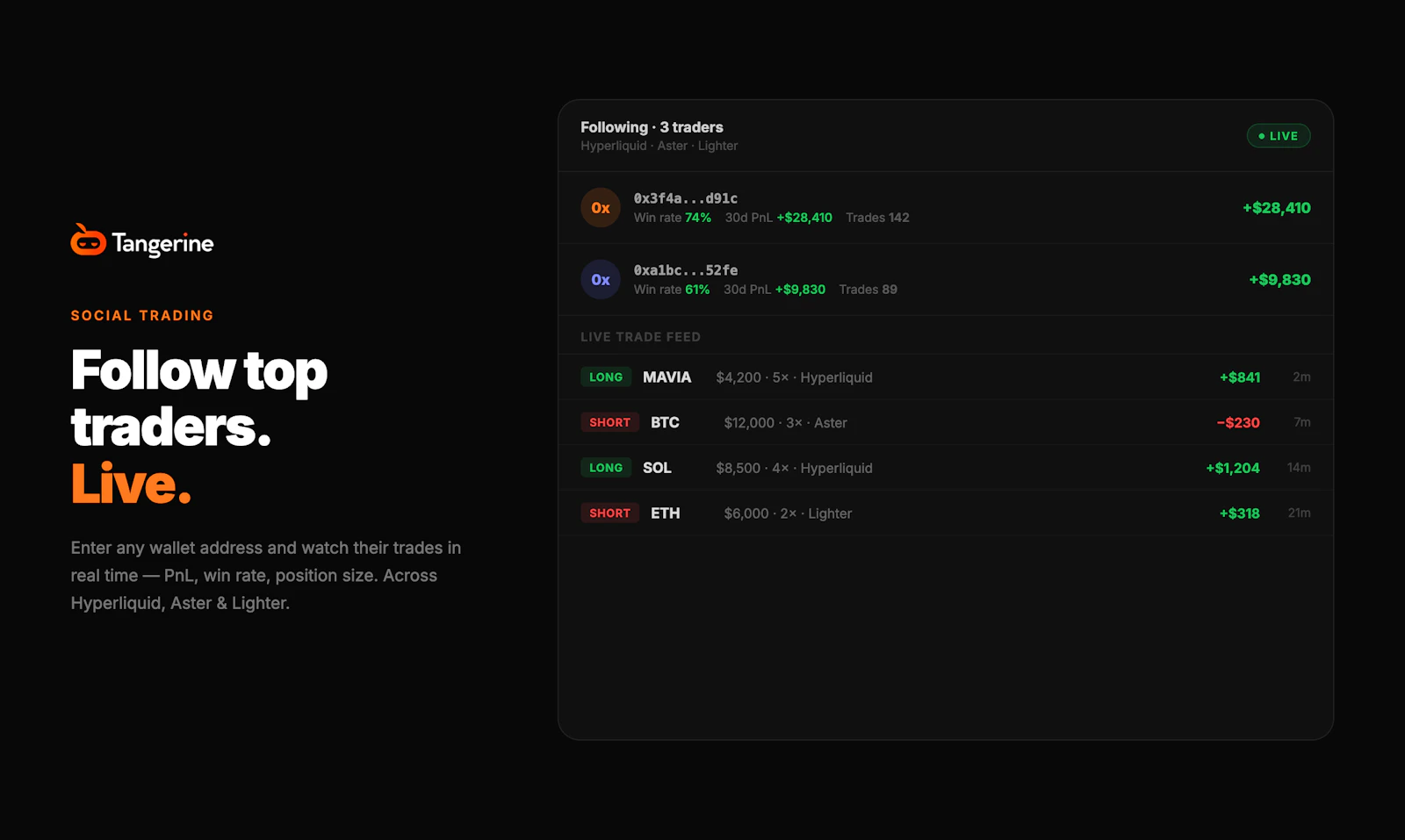 Tangerine screenshot 7