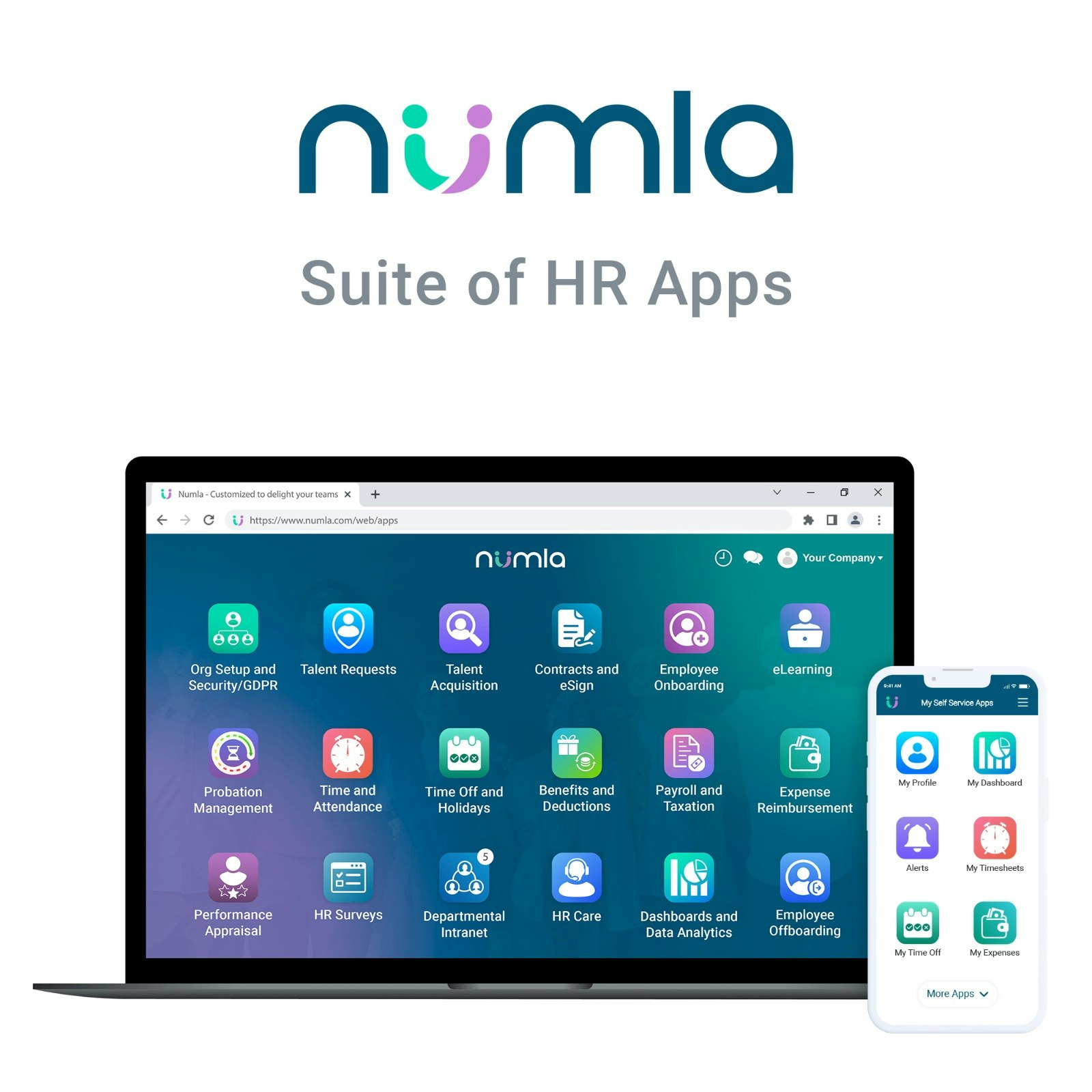 ERP Software Solutions