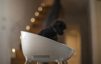 CUDII. The First Smart Dog Bed. gallery image
