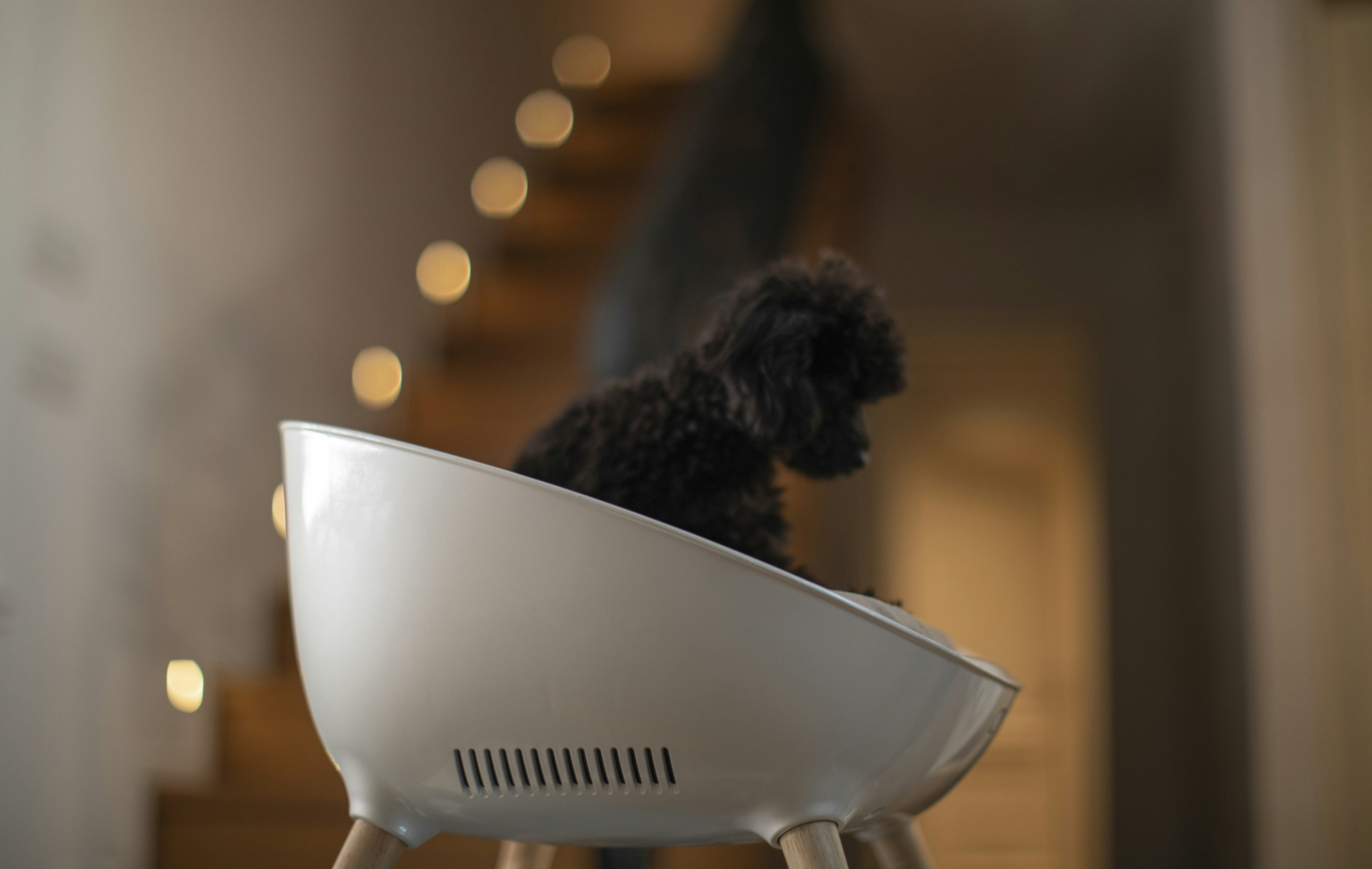 Cudii.Das erste intelligente Hundebett. Medien 4