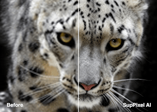 SupPixel AI gallery image