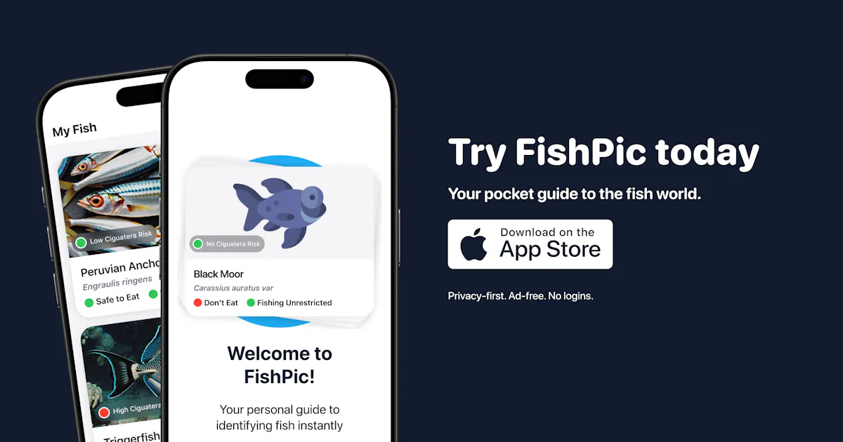 FishPic