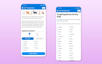 My Dog's Name gallery image