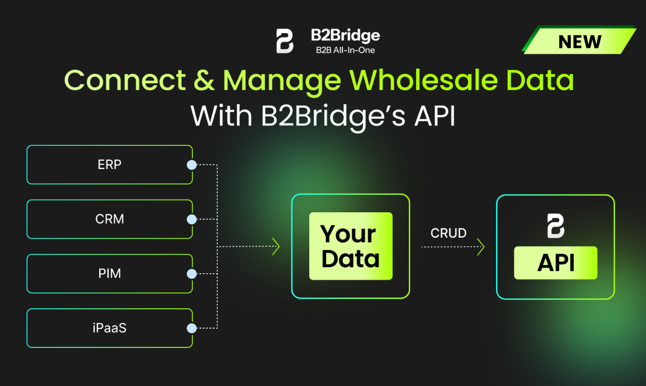 B2Bridge.io medya 9